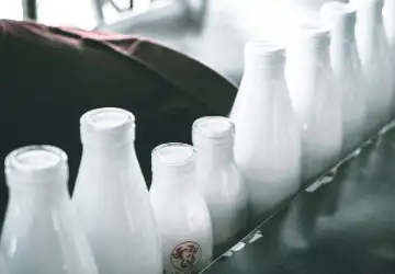 Dairy & Milk Processing Plants